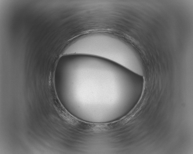 X0000076261161200609281012