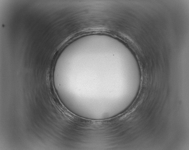 X0000076261162200609281012