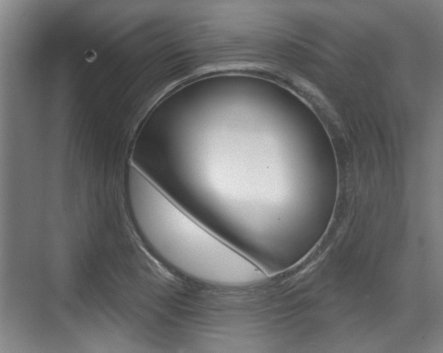 X0000076261177200609281012