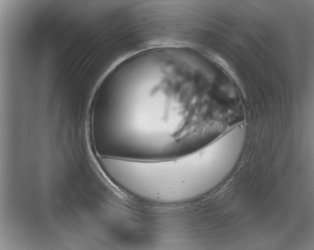 X0000076261187200609281012