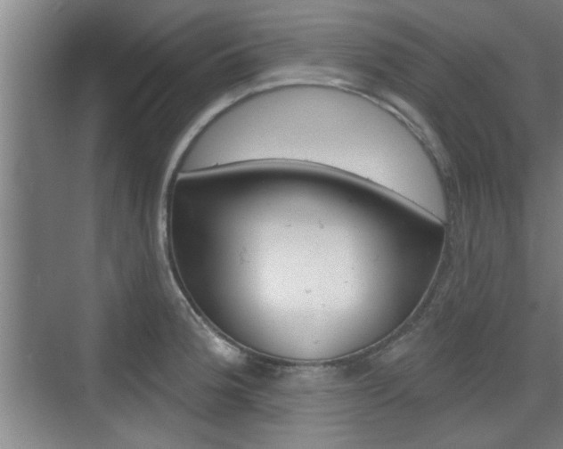 X0000076261188200609281012