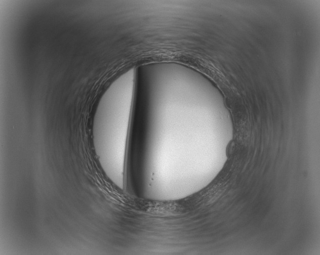 X0000076261201200609281011