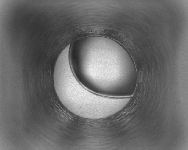 X0000076261202200609281011