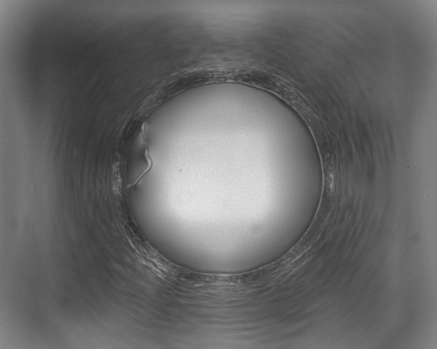 X0000076261204200609281011