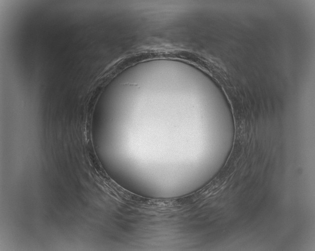 X0000076261205200609281011