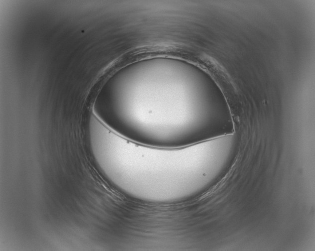 X0000076261210200609281011