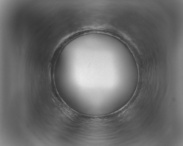 X0000076261214200609281011