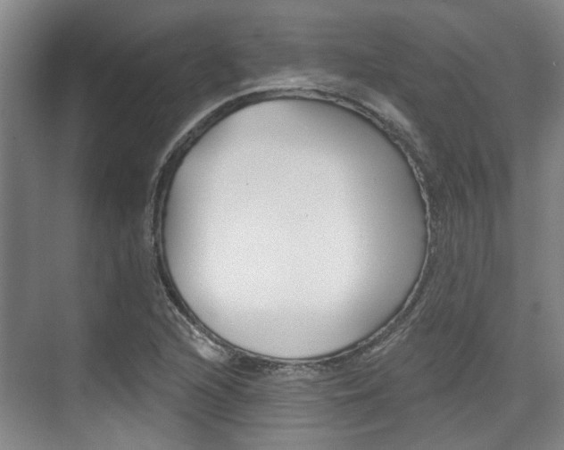 X0000076261216200609281011