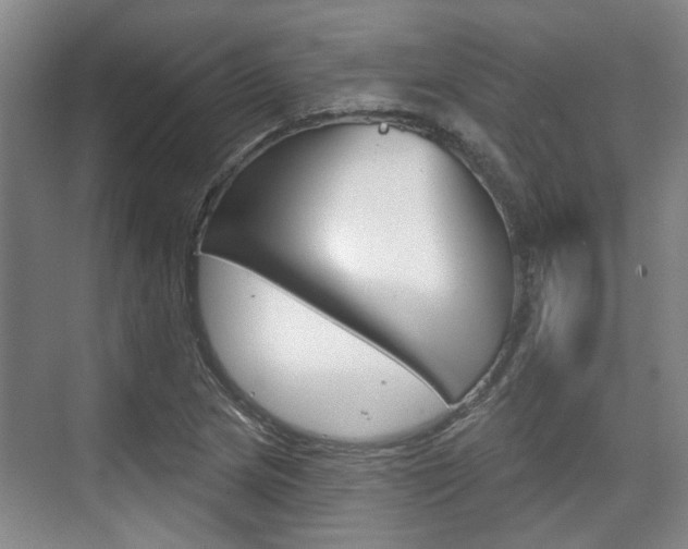 X0000076261217200609281011