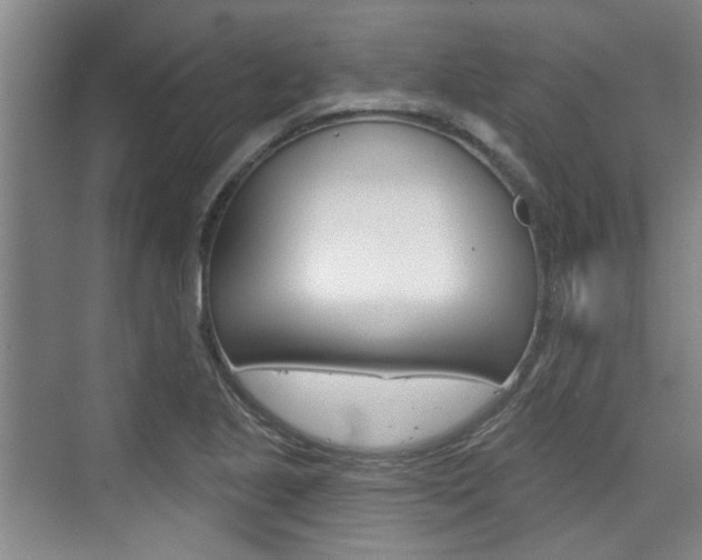 X0000076261221200609281011