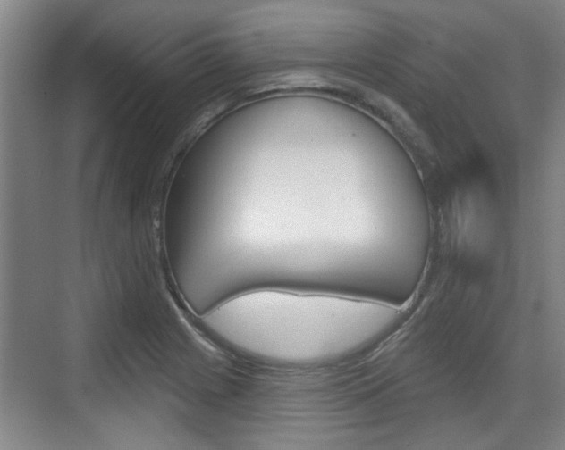 X0000076261225200609281011