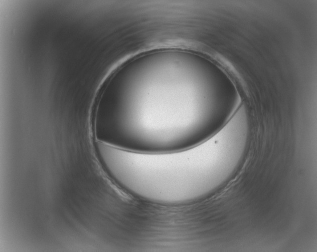 X0000076261230200609281011