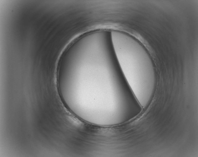 X0000076261232200609281011