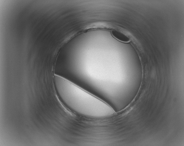 X0000076261233200609281011