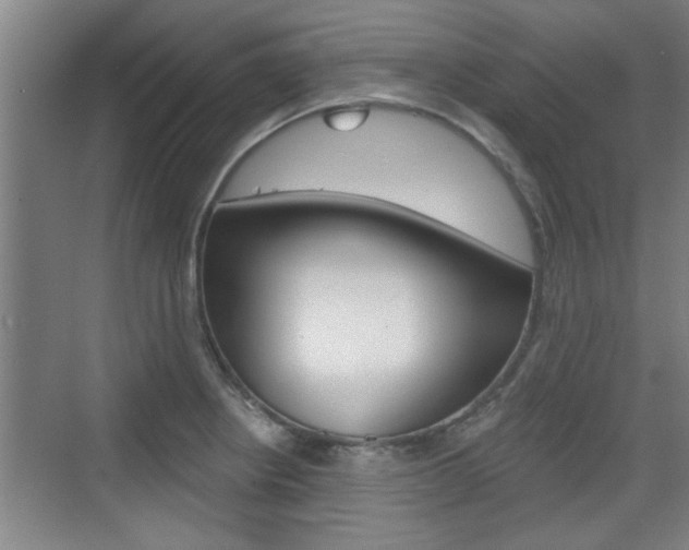X0000076261234200609281011