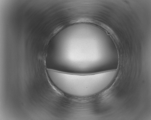 X0000076261241200609281011