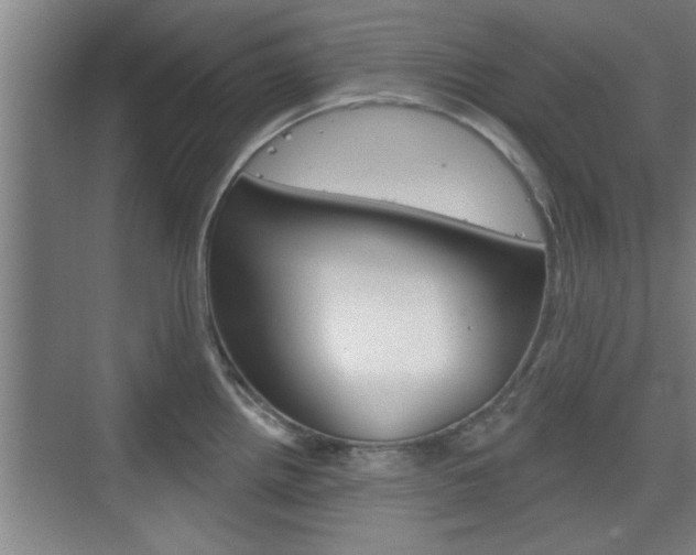 X0000076261242200609281011