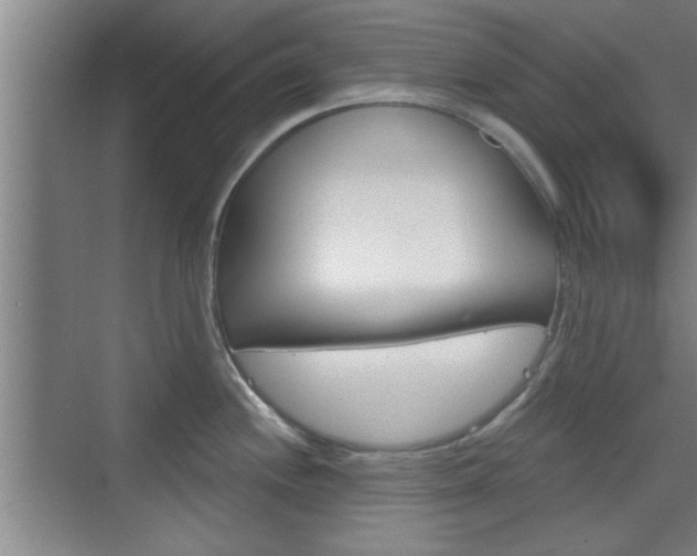 X0000076261244200609281011