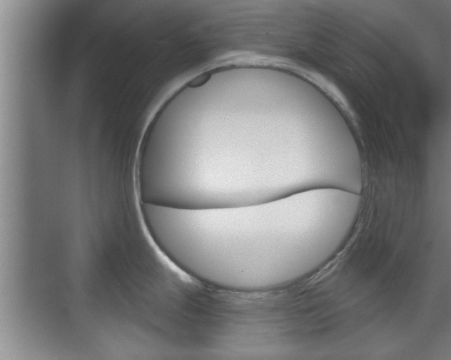 X0000076261247200609281011