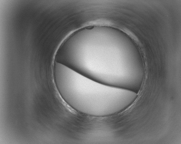 X0000076261248200609281011