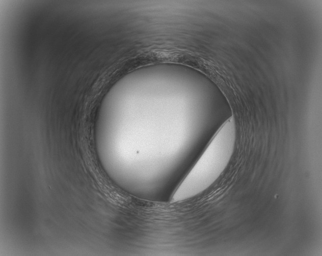 X0000076261249200609281011