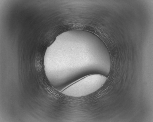 X0000076261250200609281011