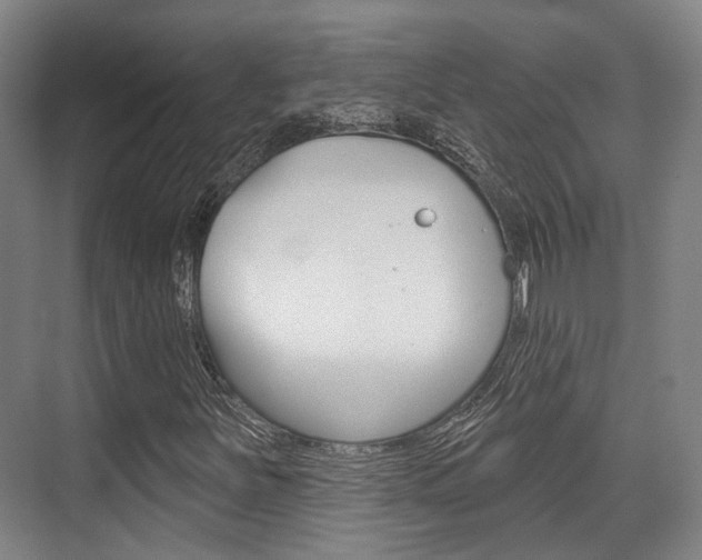 X0000076261251200609281011