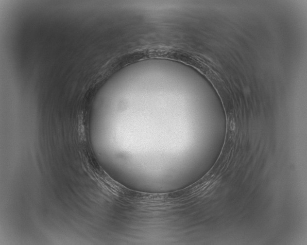 X0000076261252200609281011