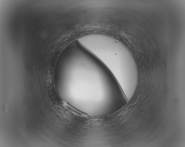 X0000076261253200609281011