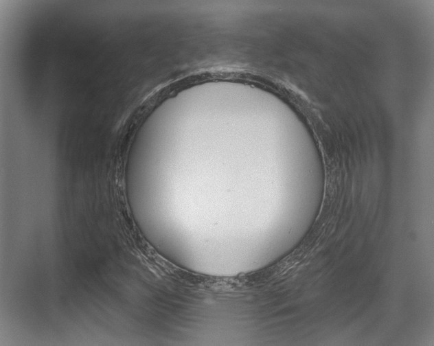 X0000076261255200609281011