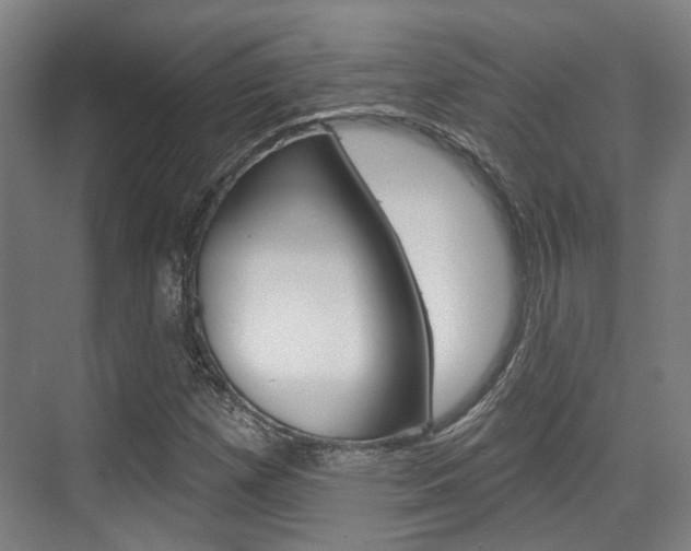 X0000076261257200609281011