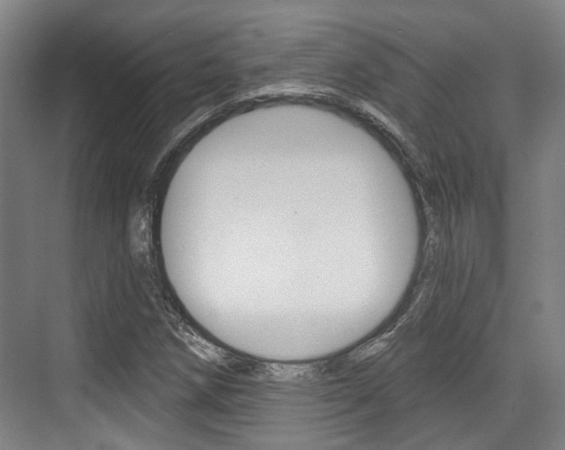 X0000076261258200609281011