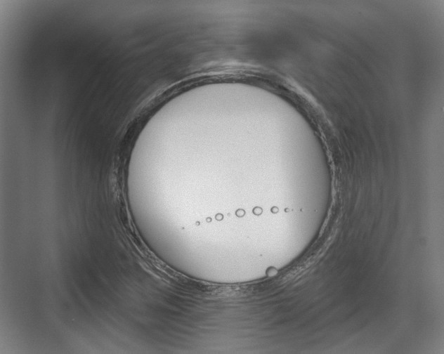 X0000076261259200609281011