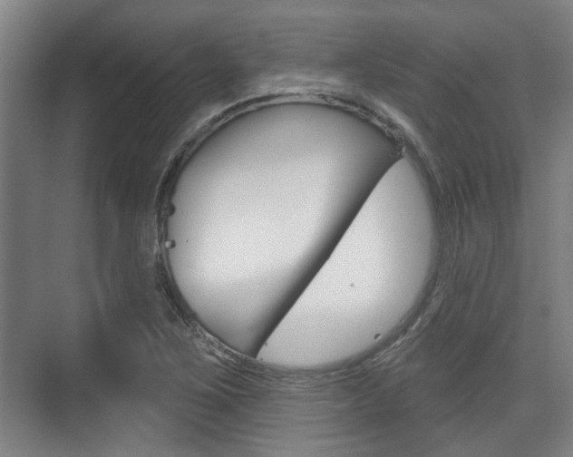 X0000076261267200609281010