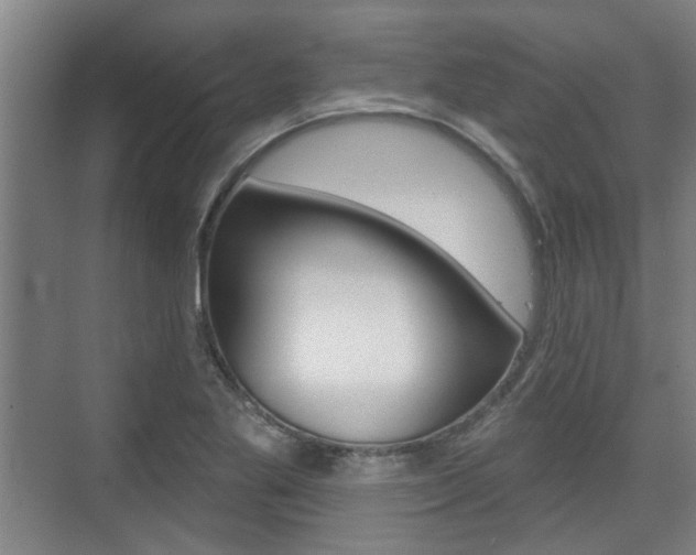 X0000076261269200609281010