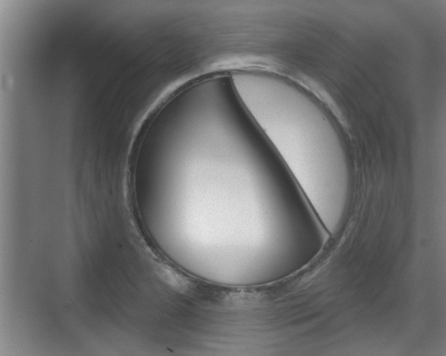 X0000076261277200609281010