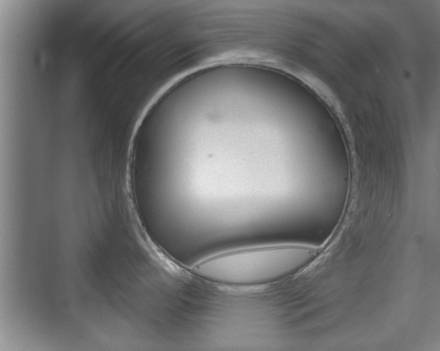 X0000076261296200609281010
