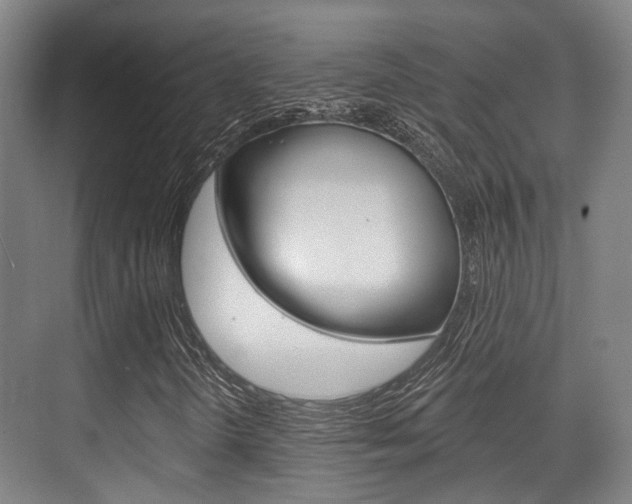 X0000076261298200609281009