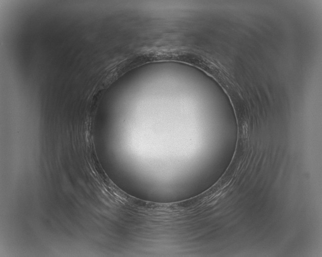 X0000076261300200609281009