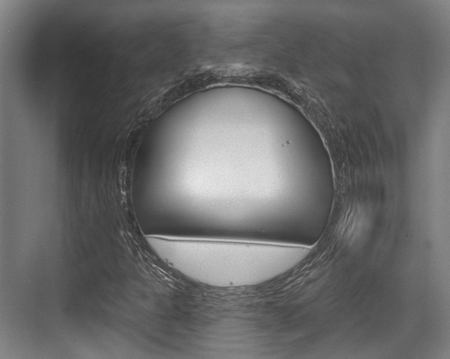 X0000076261301200609281009