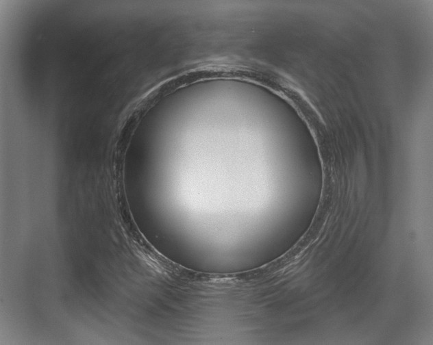 X0000076261304200609281009