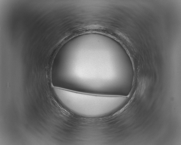 X0000076261305200609281009