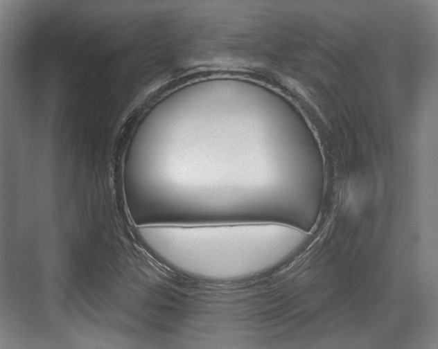 X0000076261307200609281009