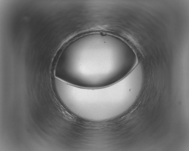 X0000076261308200609281009