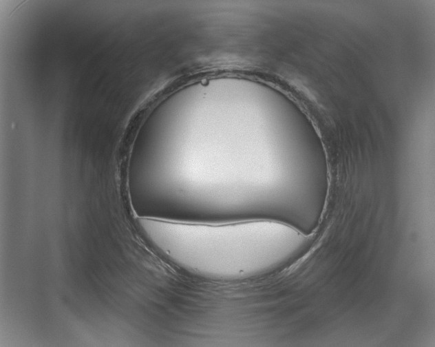 X0000076261309200609281009