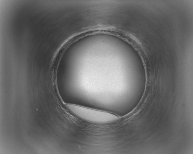 X0000076261310200609281009