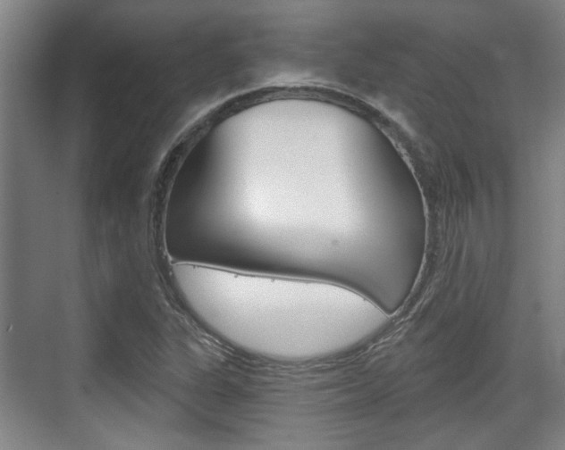 X0000076261311200609281009