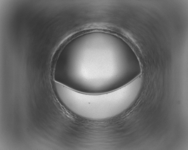 X0000076261312200609281009