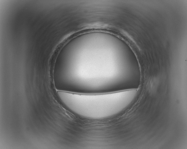 X0000076261315200609281009
