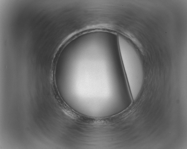 X0000076261316200609281009